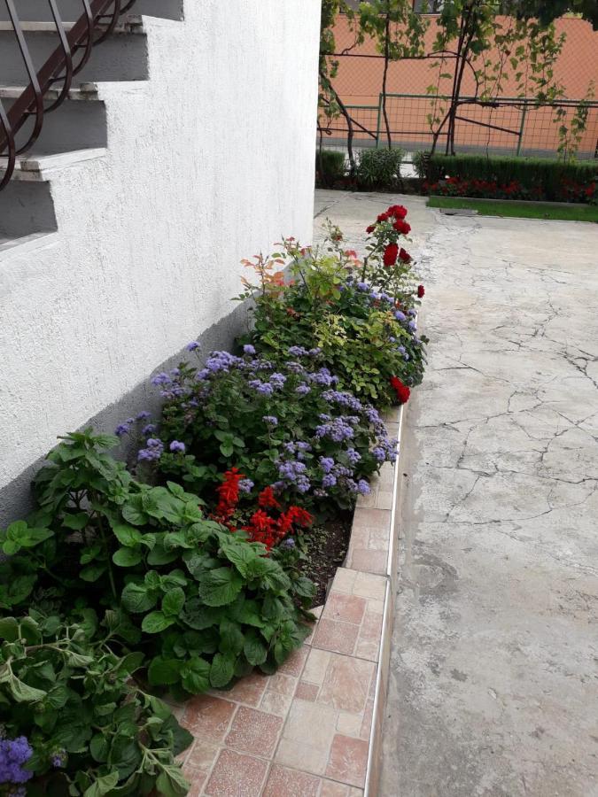 Kuca Za Odmor Varos Villa Vrlika Exterior photo